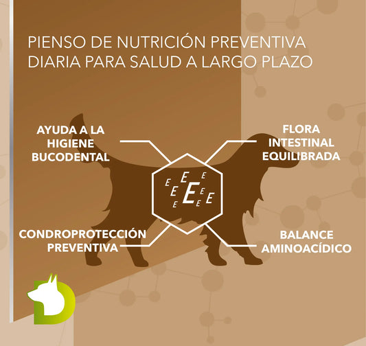 Infografía de Pienso Bacdog Adulto Premium (Elite) con Nutrición Preventiva Diaria y Condroprotección All-in-One.