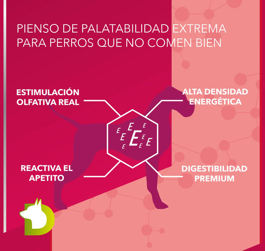 Infografía de Pienso Bacdog Gourmet Ibérico (Elite): palatabilidad extrema, alta densidad energética y digestibilidad premium para perros exigentes.
