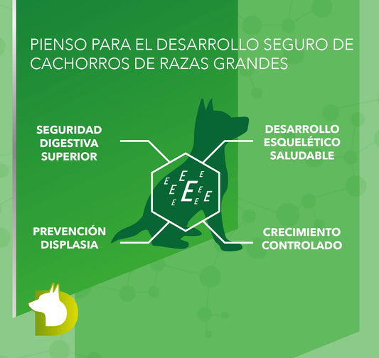 Infografía de Pienso Bacdog Junior Maxi (Elite): prevención de displasia, desarrollo esquelético y crecimiento controlado.