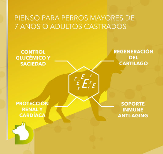 Infografía de Pienso Bacdog Senior y Esterilizados (Elite): control glucémico, protección renal, cardíaca y regeneración del cartílago.