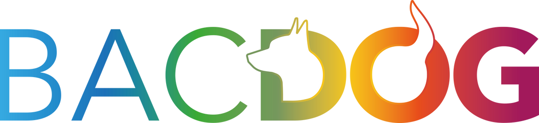 ¡Estamos Abiertos! La Chispa Detrás de Nuestra Nueva Tienda Online