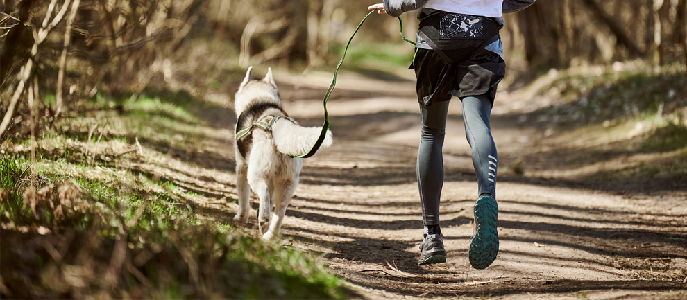 Banner de un perro corriendo en Canicross