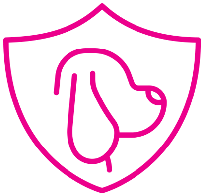 Dosis clínica de 2500mg de condroprotectores para regeneración articular y movilidad canina Bacdog.