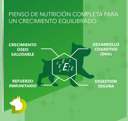 Infografía de Pienso Bacdog Cachorros Evolution (Elite): crecimiento óseo, desarrollo cognitivo con DHA y refuerzo inmunitario.