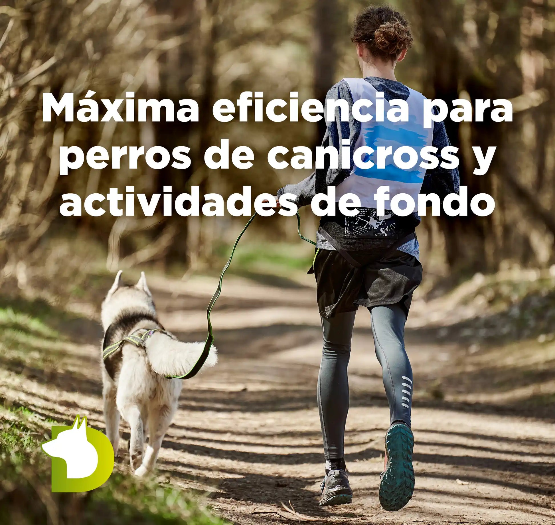 Persona y perro Husky practicando canicross con texto de Pienso Bacdog Canicross y Sport para máxima eficiencia en actividades de fondo.