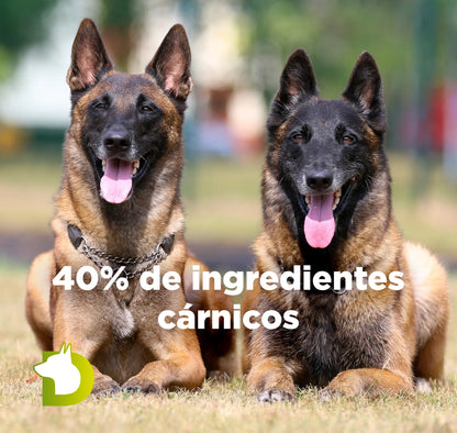 Pareja de perros Pastor Belga Malinois con texto de Pienso Bacdog Essential Base con 40% de ingredientes cárnicos de alto valor biológico