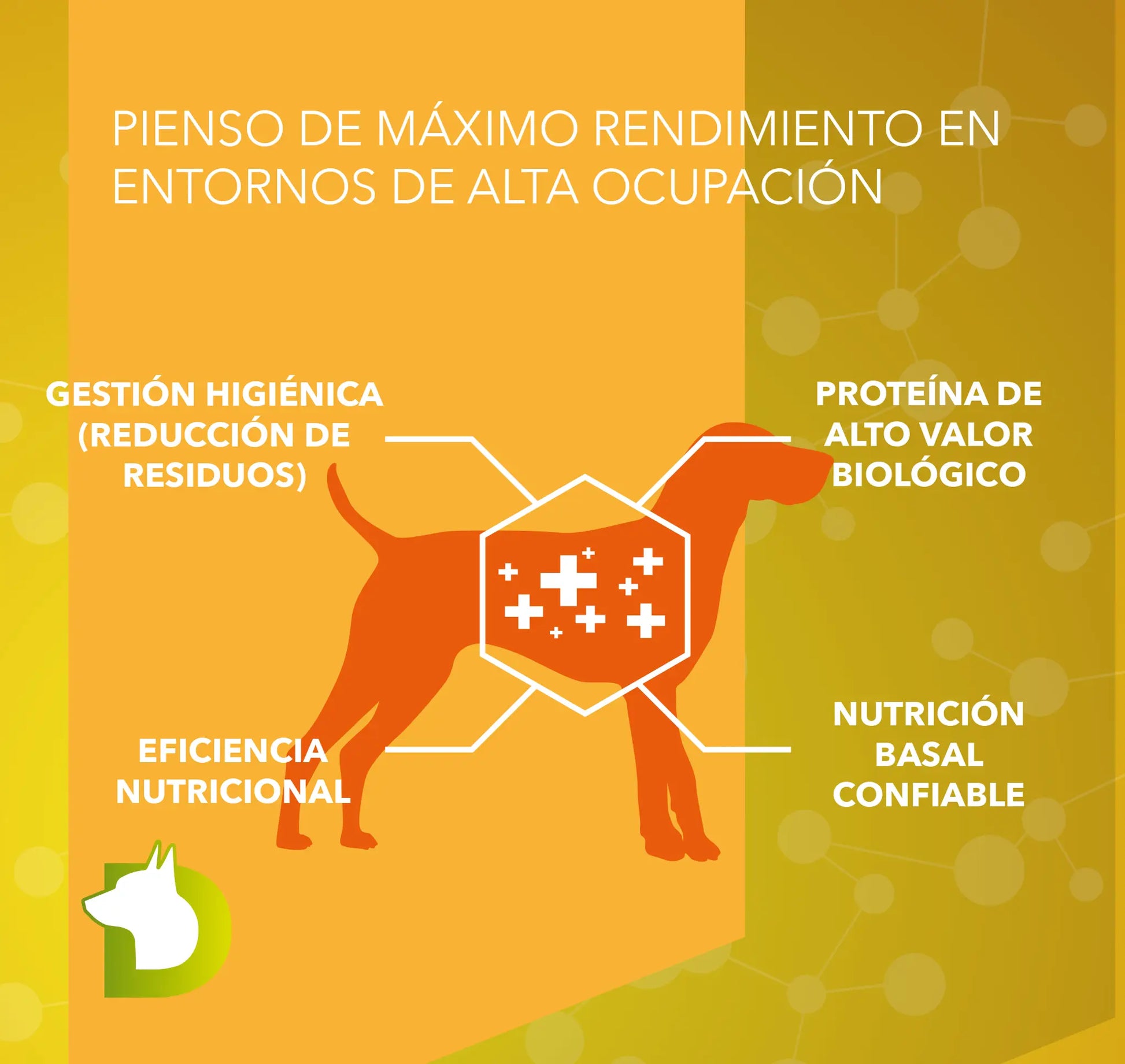 Infografía de Pienso Bacdog Essential Base (Profesional+): nutrición basal confiable y gestión higiénica para entornos de alta ocupación.