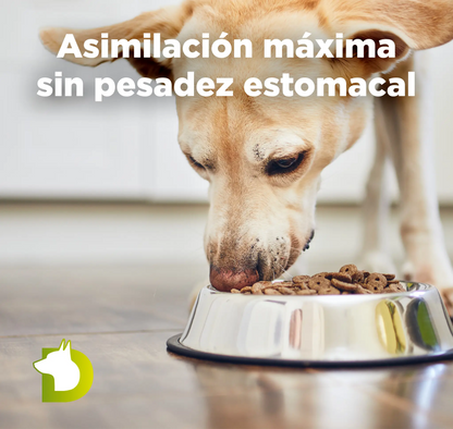 Pienso Bacdog Gourmet Ibérico para una asimilación máxima sin pesadez estomacal, ideal para perros con digestión sensible.