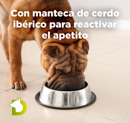 Perro comiendo Pienso Bacdog Gourmet Ibérico con manteca de cerdo ibérico para reactivar el apetito en perros caprichosos.