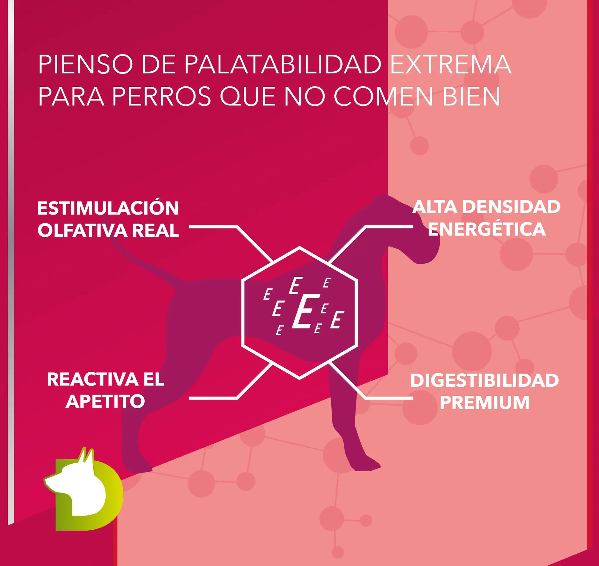 Infografía de Pienso Bacdog Gourmet Ibérico (Elite): palatabilidad extrema, alta densidad energética y digestibilidad premium para perros exigentes.