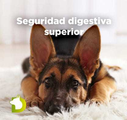 Cachorro de Pastor Alemán con texto de Pienso Bacdog Junior Maxi para una seguridad digestiva superior en razas grandes.
