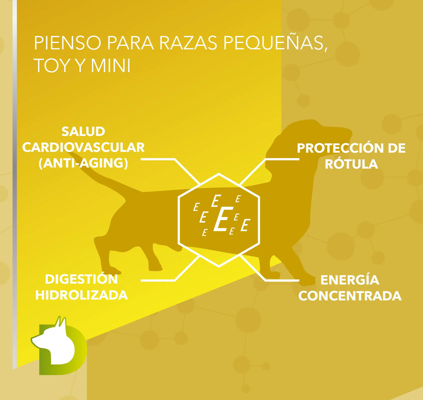Infografía de Pienso Bacdog Mini Razas Pequeñas (Elite): protección de rótula, salud cardiovascular anti-aging y digestión hidrolizada.