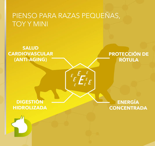 Infografía de Pienso Bacdog Mini Razas Pequeñas (Elite): protección de rótula, salud cardiovascular anti-aging y digestión hidrolizada.