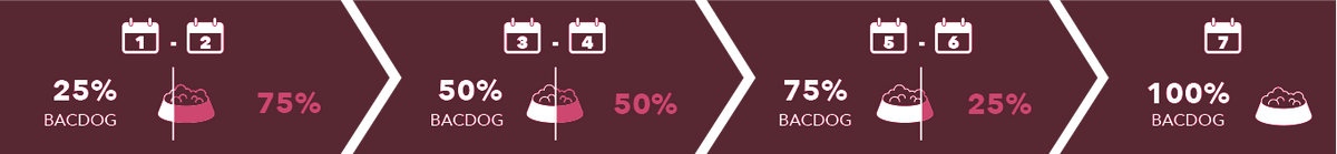 Infografía de transición alimentaria gradual de 7 días para perros de Bacdog. Muestra el cambio progresivo de ración: 25% Bacdog en días 1-2, 50% en días 3-4, 75% en días 5-6 y 100% desde el día 7. Incluye consejos sobre ración diaria constante y acceso a agua fresca.