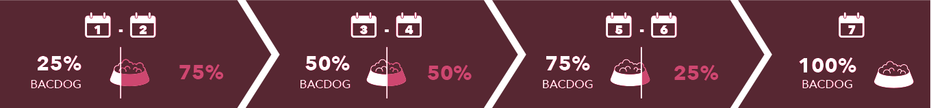 Infografía de transición alimentaria gradual de 7 días para perros de Bacdog. Muestra el cambio progresivo de ración: 25% Bacdog en días 1-2, 50% en días 3-4, 75% en días 5-6 y 100% desde el día 7. Incluye consejos sobre ración diaria constante y acceso a agua fresca.